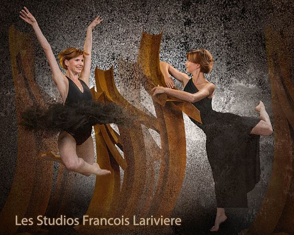 Pas de deux #4-Francois Lariviere