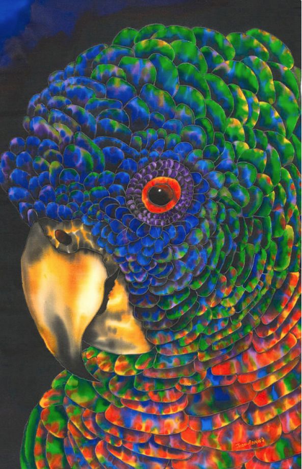 St. Lucian Parrot-Daniel Jean-Baptiste