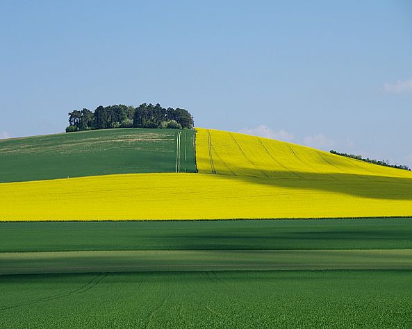 Gros Mont-Luc Fasquel