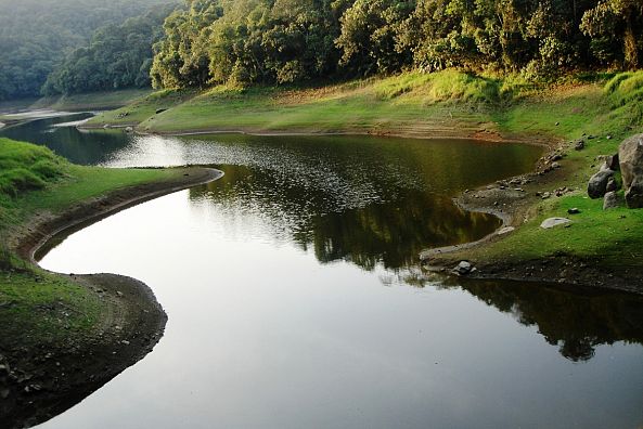 Minha PAZ - Brasil-Malouh Gualberto