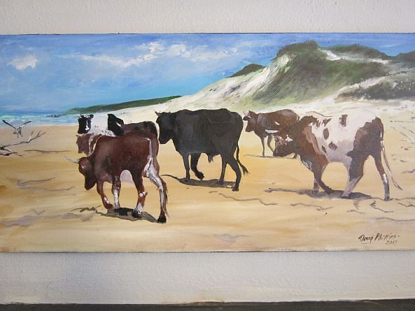 Nguni cattle -doug  phillips