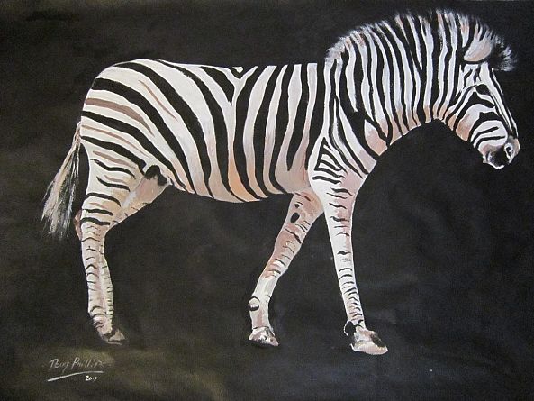 Zebra at night-doug  phillips