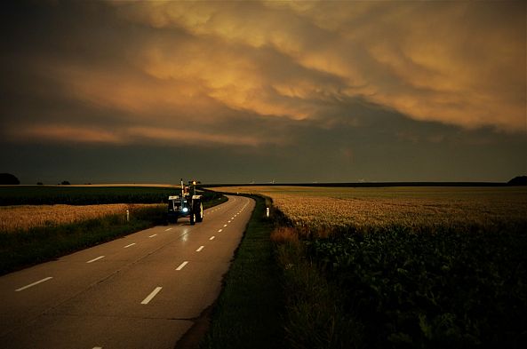 Harvest-Julien Nalia