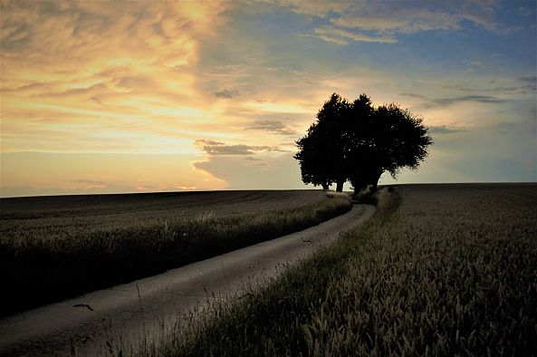 Un chemin vers la lumuère-Julien Nalia