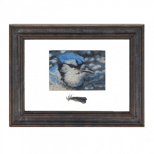 Blue jay/sold-Rebecca  Manns