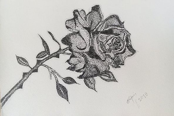 black rose-Marini Tsambi