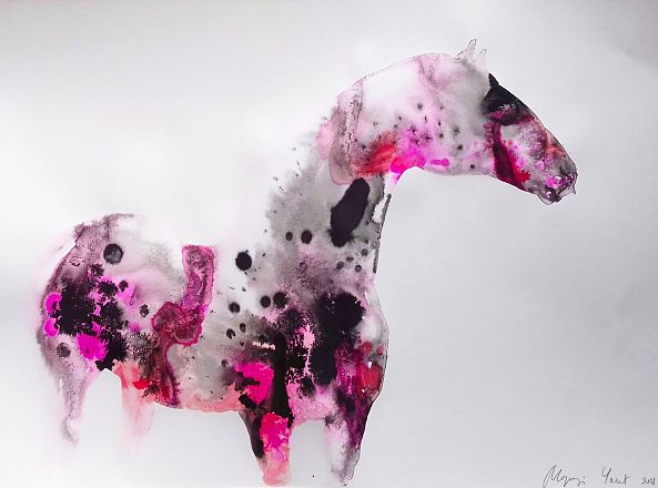 Appaloosa Beauty-marija colic