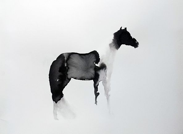 Black&white-marija colic