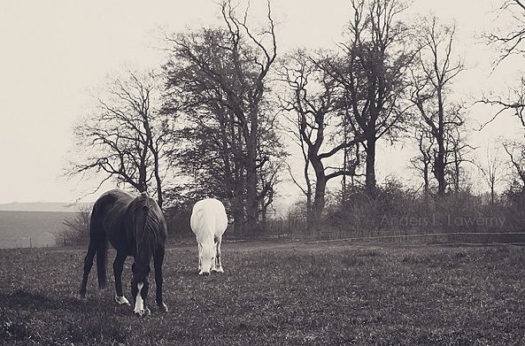 Black & White-Anders Lawerny