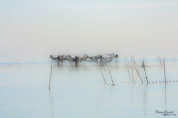 002 Etang de l'Or (Hérault France)-Thierry Raulet