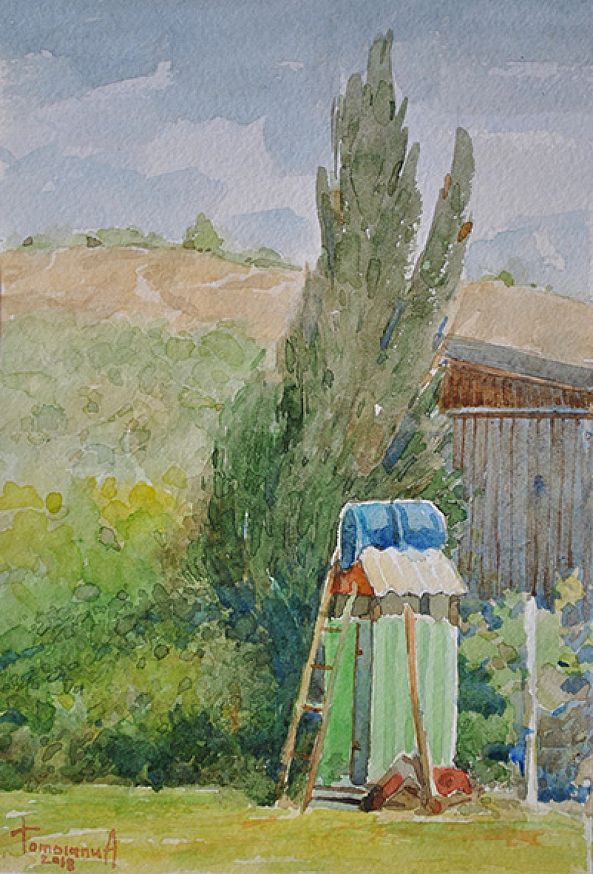 summer shower-Anatolii TOMOIANU