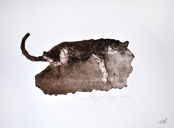 ~sleeping cat -Olimpia Mazzei