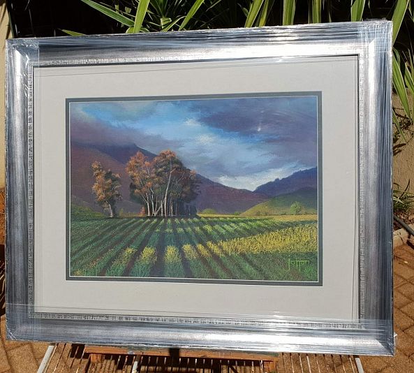 Canola splendour-Johan Coetzer