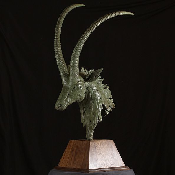 Sable Antelope Bust-Willem Botha