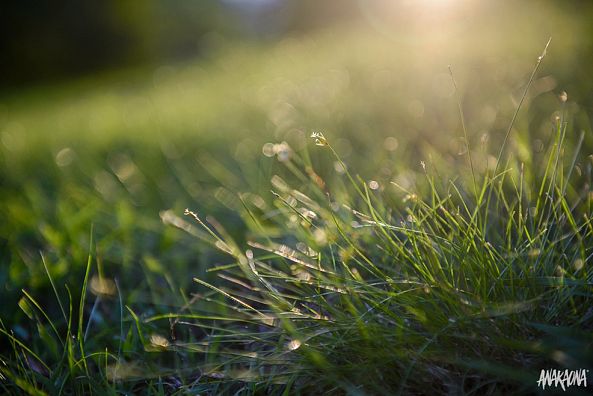 Tapis de sol ... naturel-Marie-Claire PARSEMAIN