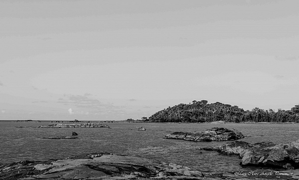 Sur l'île de Cayenne-Marie-Claire PARSEMAIN