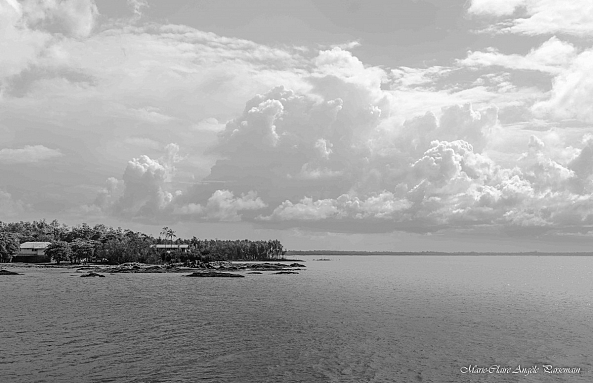 Le long du littoral-Marie-Claire PARSEMAIN