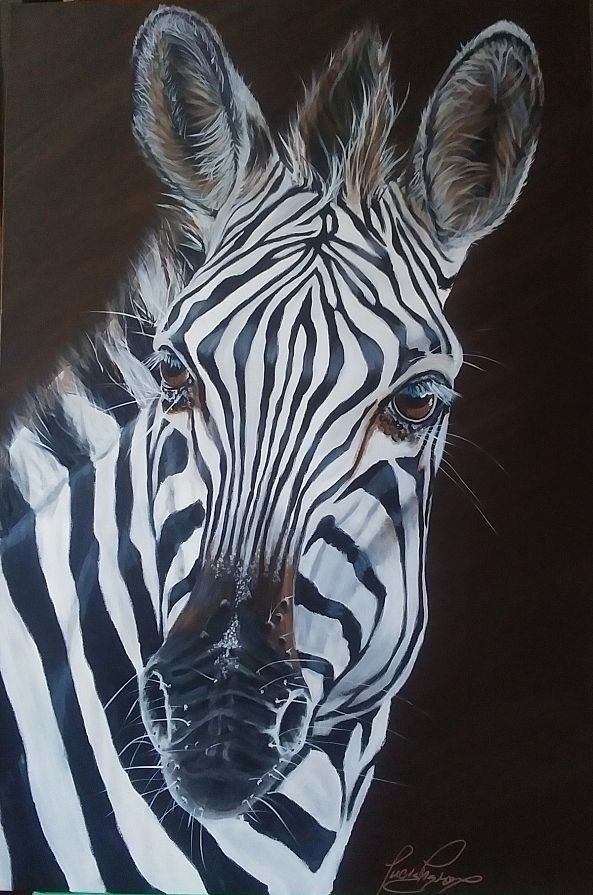 Grevys Zebra-Lucie Theroux