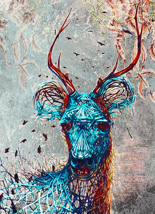 Ciber Deer-Albena Alta