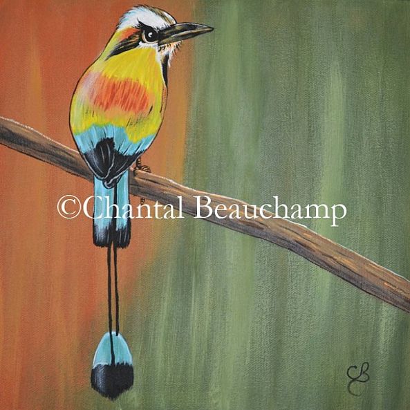 Motmot à sourcil bleu-Chantal Bochamp