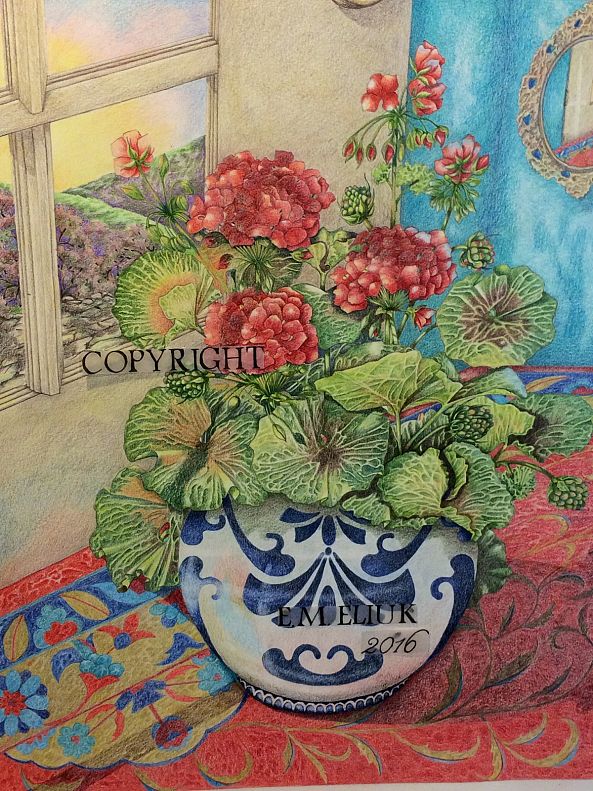 Potted geraniums -Elizabeth Eliuk