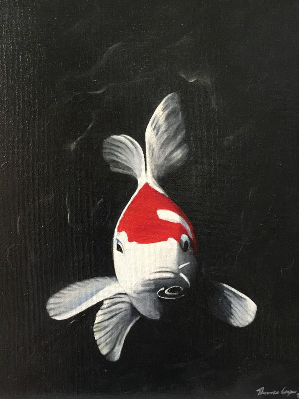 Koi: Charlie-Theresa Cooper