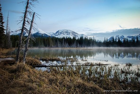 Before nightfalls-Marie-Andrée Blais