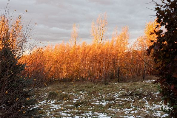 Coucher de soleil d'automne-Marc Philip