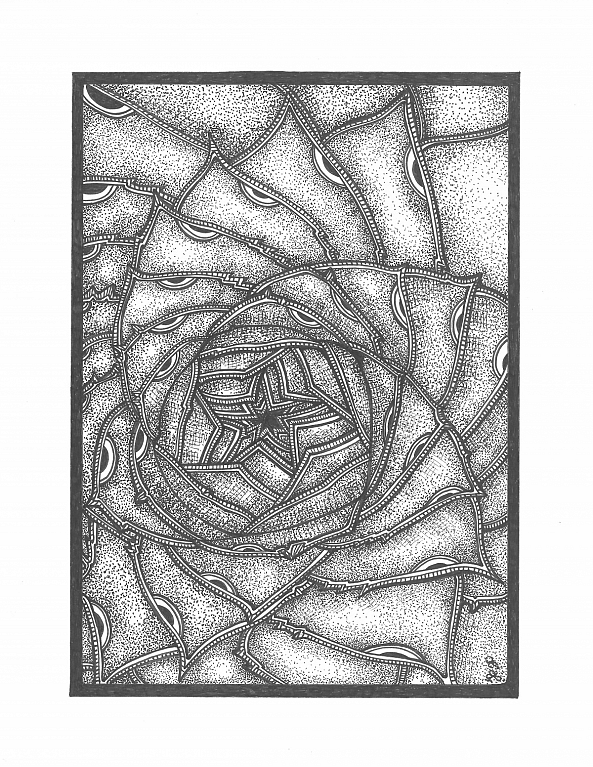 Inside the succulent-Jessie's Art