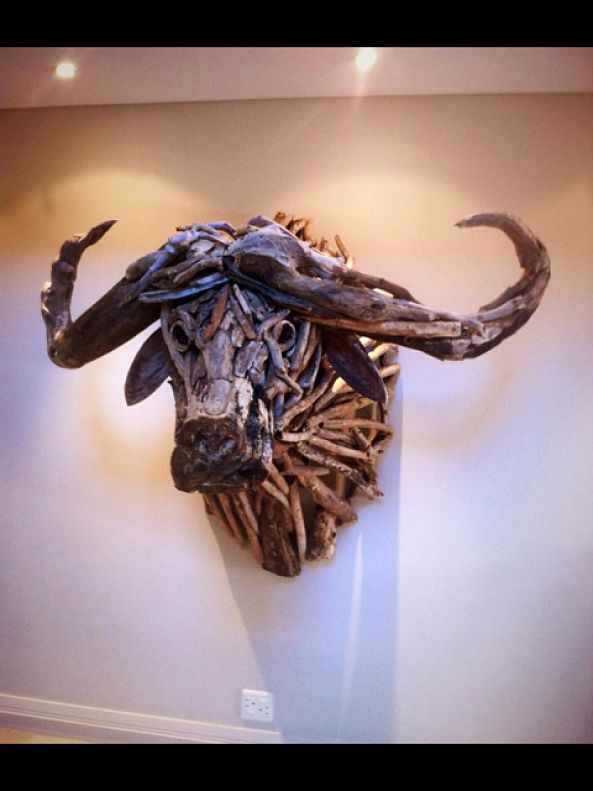 Cape Buffalo-Bryan Cusack