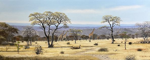 Giraffe-André Vorster