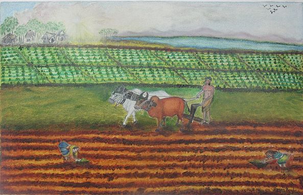 PLOWING-Jagan Mohan