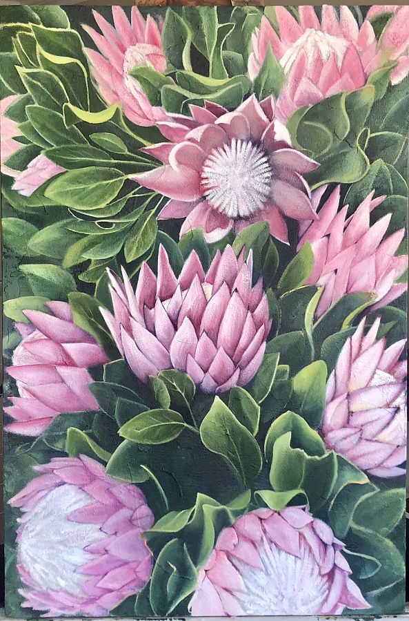 Cape Protea-Bronwyn Bruce