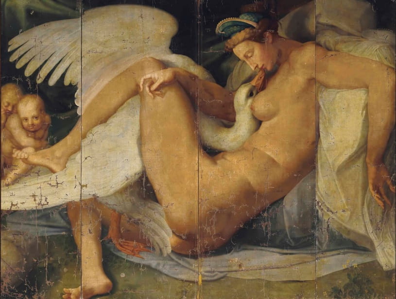 leda and the swan.