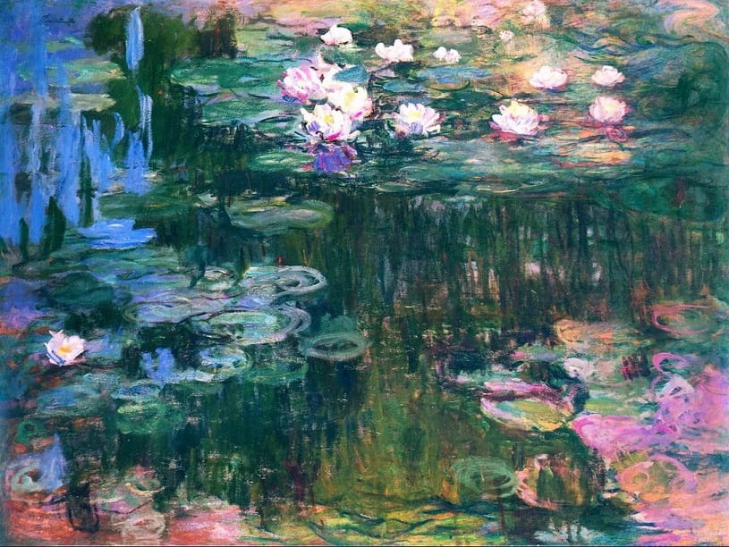 Water lilies